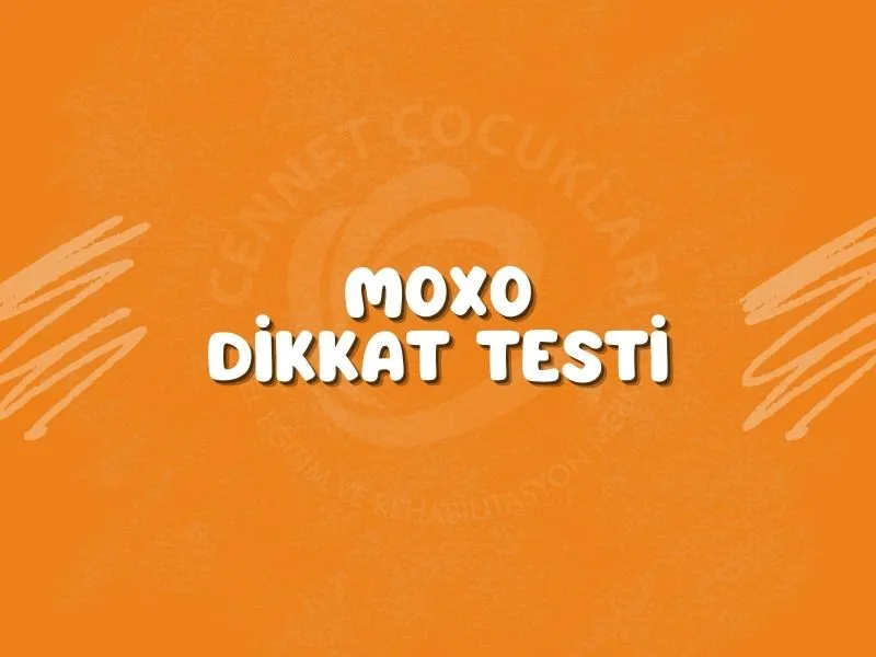 MOXO Dikkat Testi