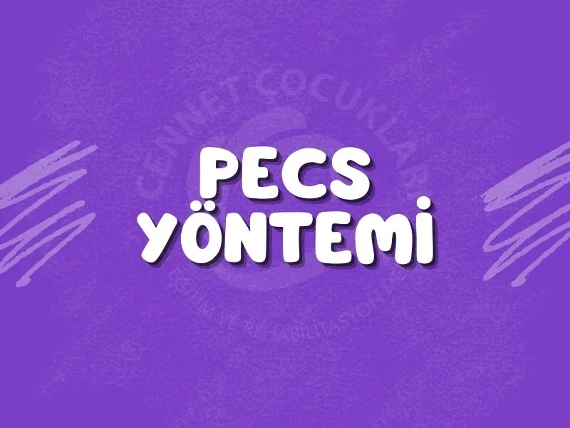 PECS Yönetemi
