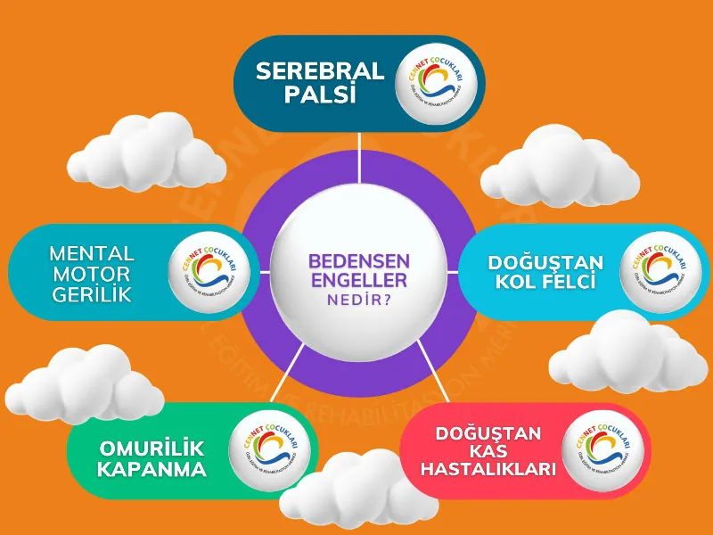 Bedensel Engelliler Destek Programı
