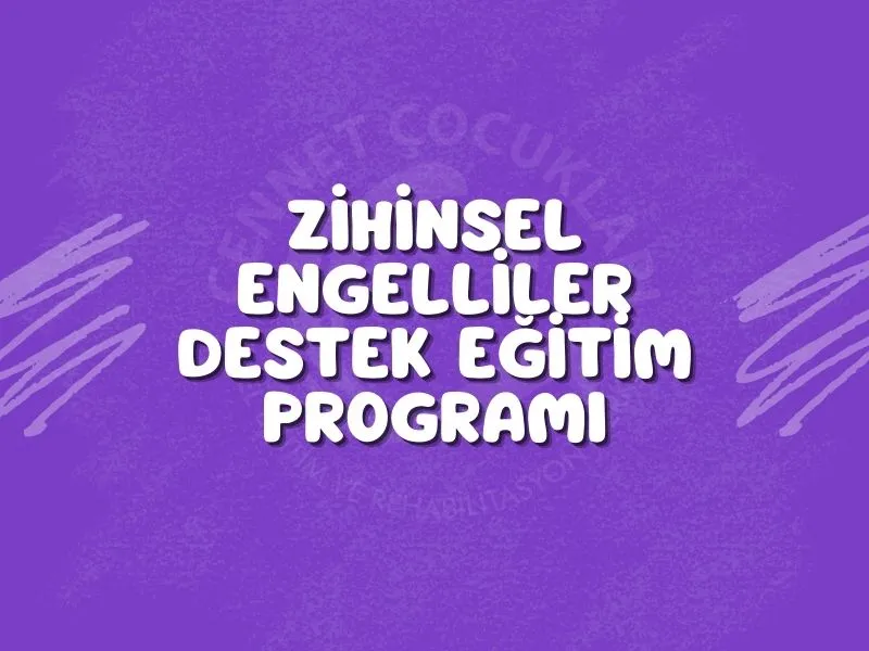 Zihinsel Engelliler Destek Eğitim Programı